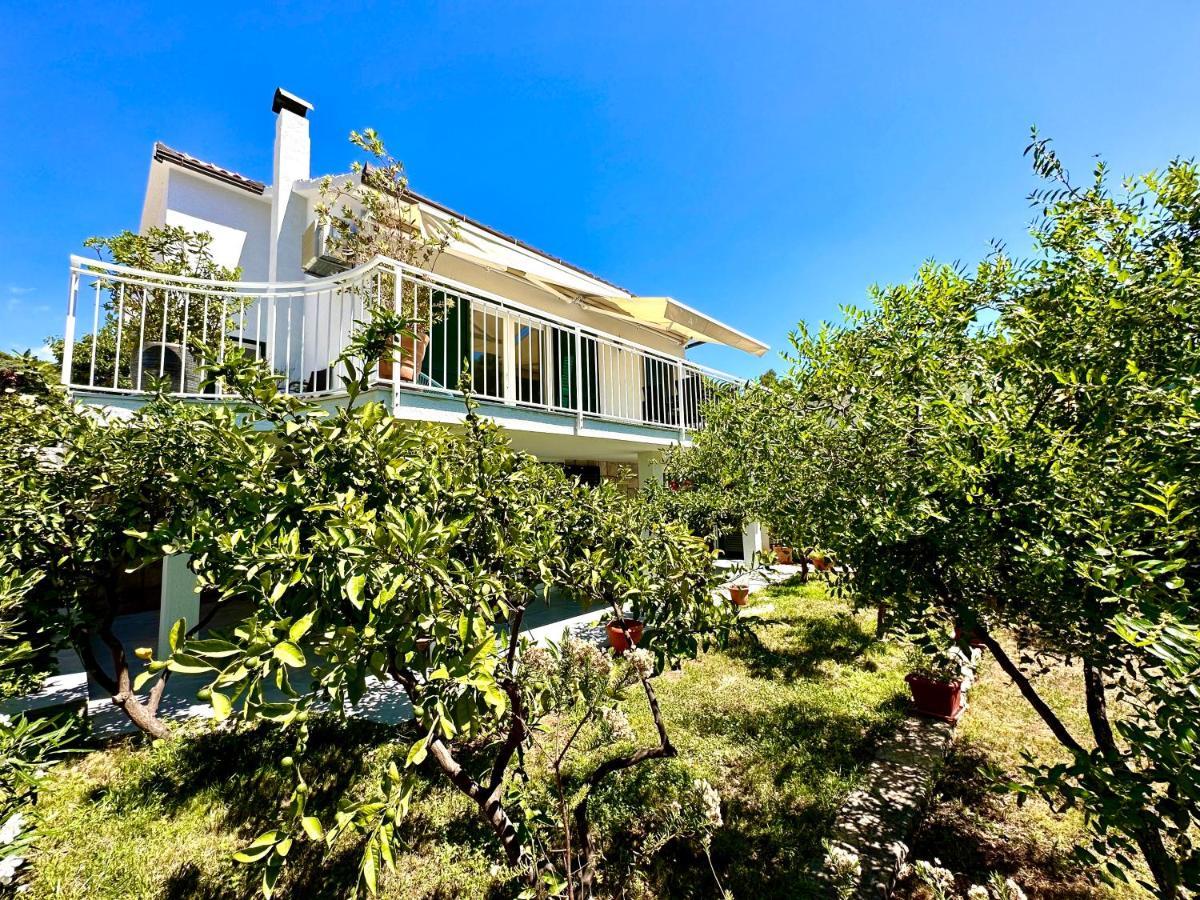 Perla & Palma Vila Zaboric Exterior foto