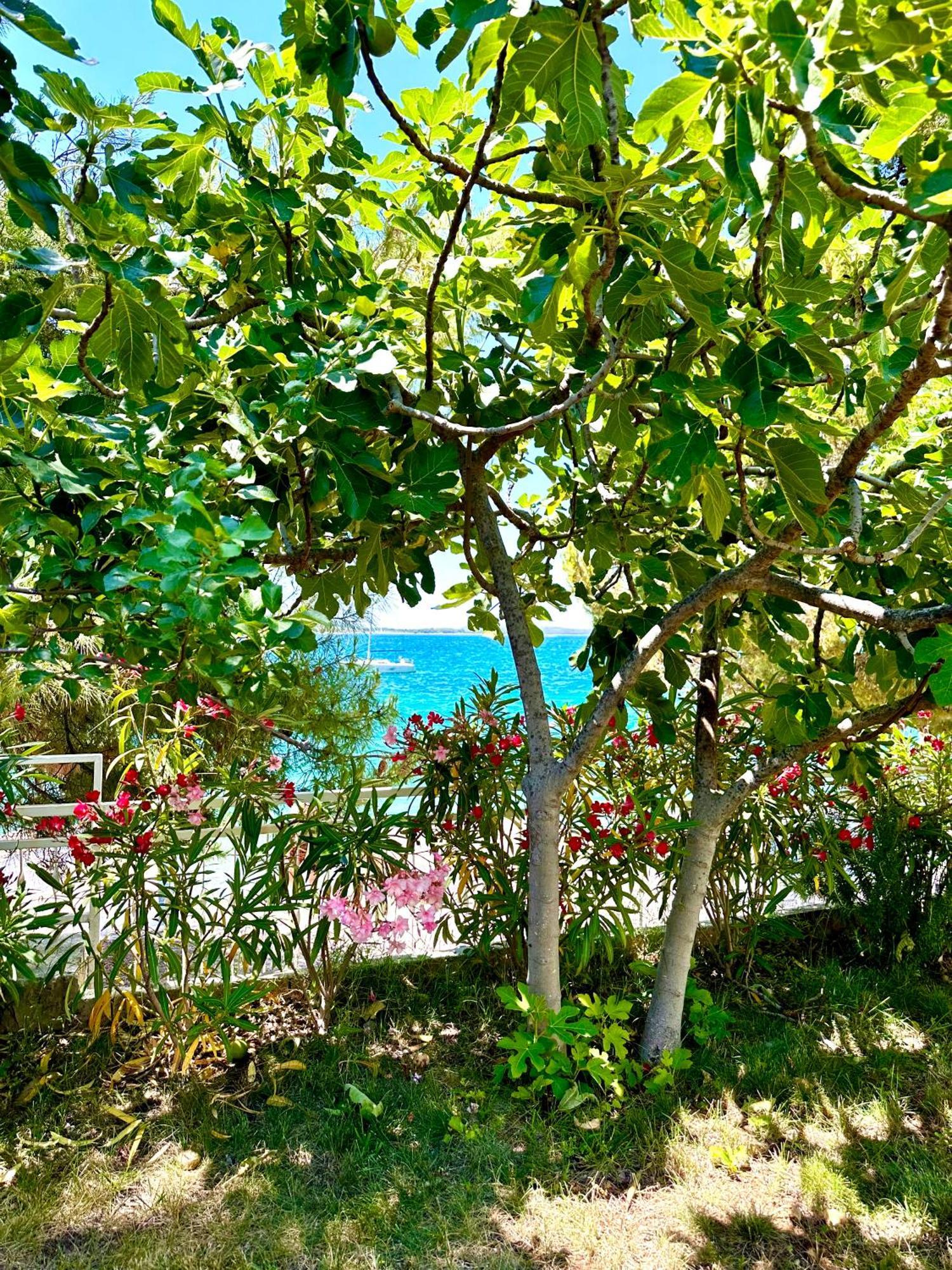 Perla & Palma Vila Zaboric Exterior foto